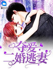 叶少的夺爱婚妻潇潇雨